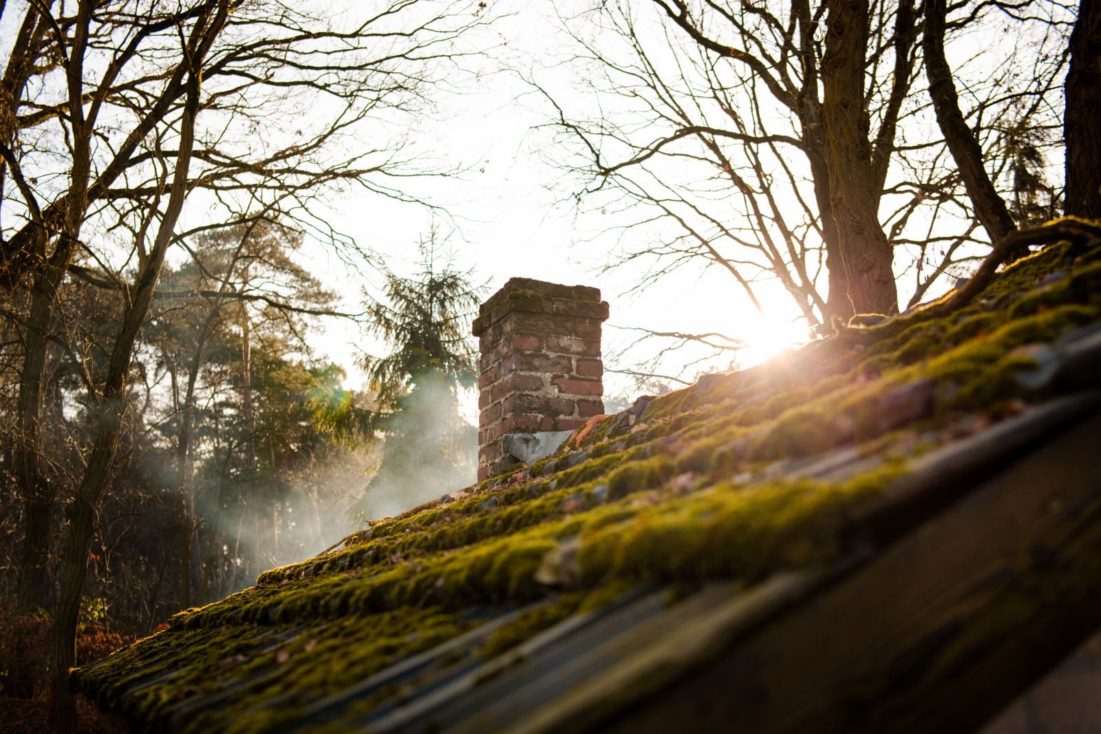Moss-covered roof and brick chimney under winter trees